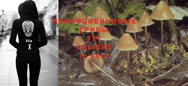 марки lsd Заводоуковск