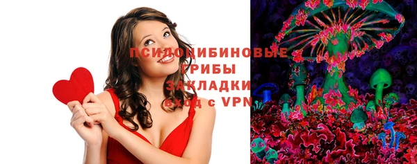 марки lsd Заводоуковск